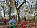 2016-01-10 Cross Etten-Leur - 044  IICSA   II